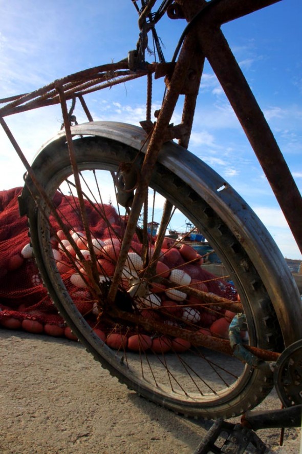 bikes950