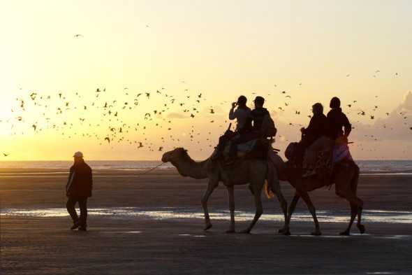 camel riding-family-photography-holiday-morocco
