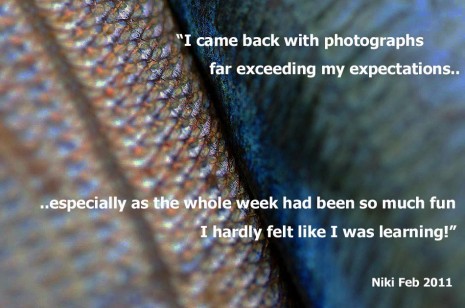 fishwithtext